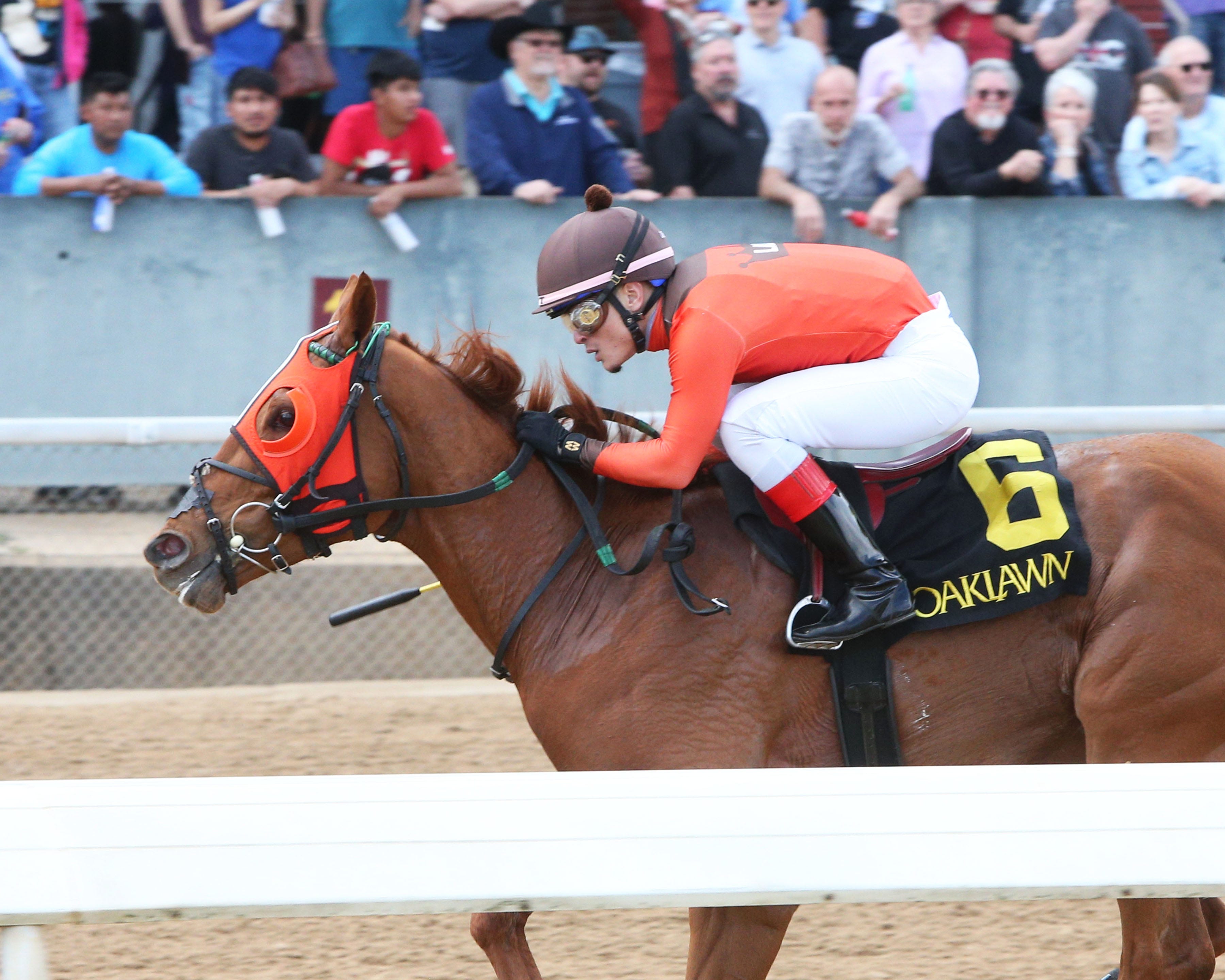 Scratches and changes from Friday's daybeforePreakness card at Pimlico